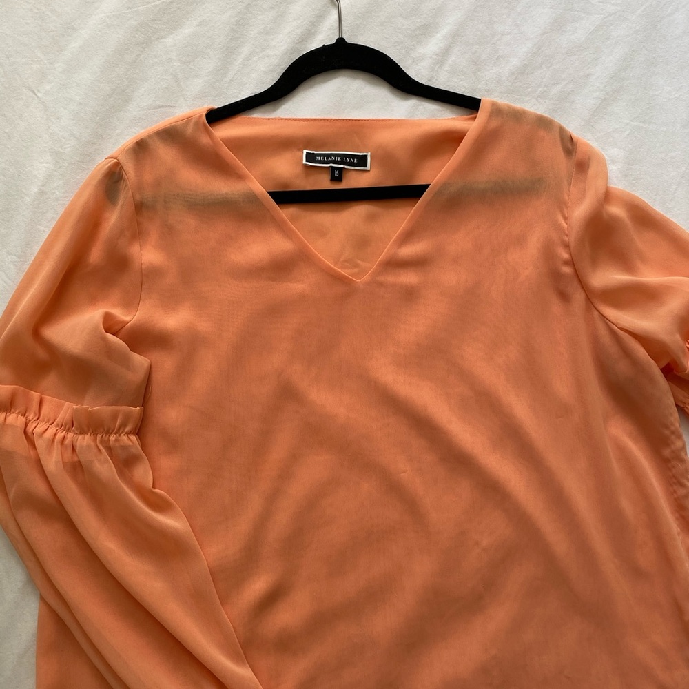 Melanie Lyne Chiffron Top